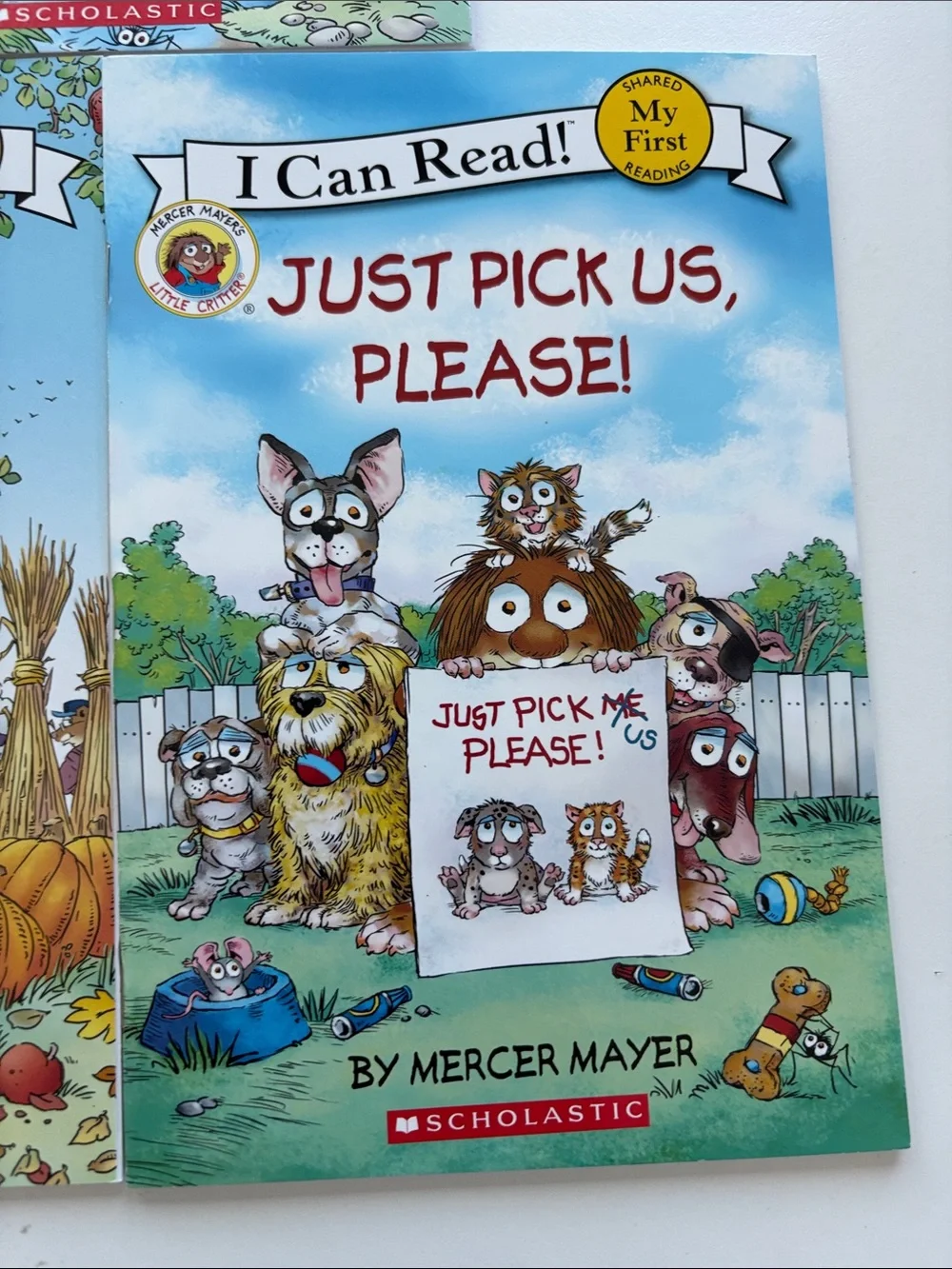 Scholastic I Can Read! Just Saving My Money (green, blue, white, brown)